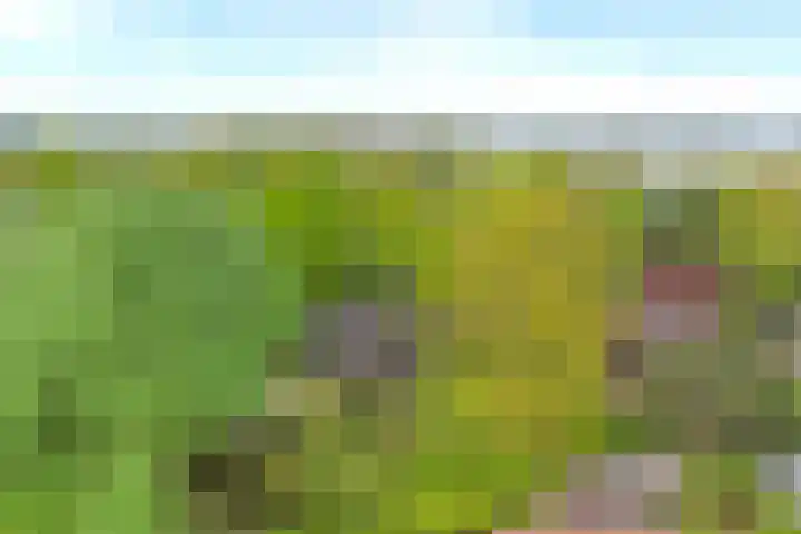 De Achthoek 26 Scharendijke thumbnail 25