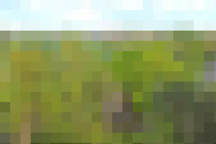 De Achthoek 26 Scharendijke thumbnail 26