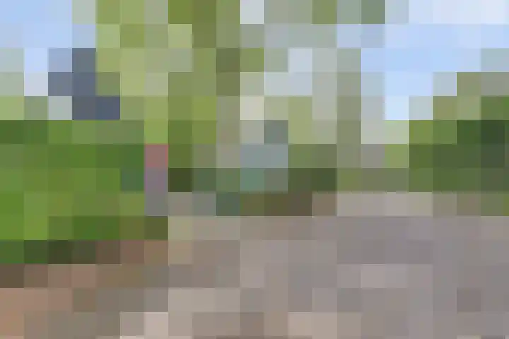 De Achthoek 26 Scharendijke thumbnail 27