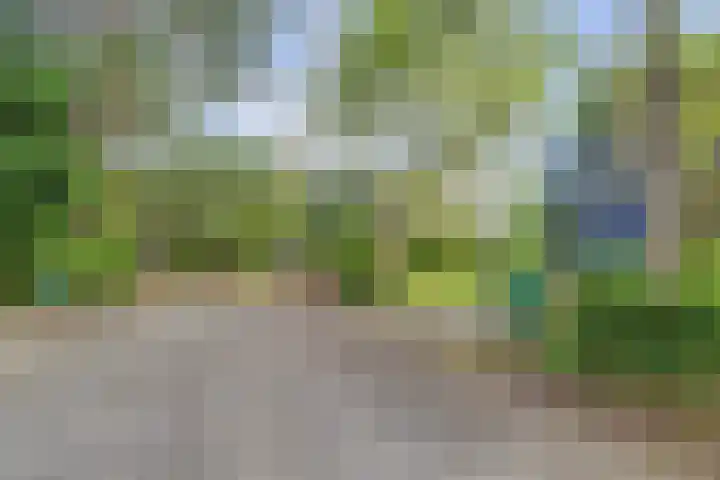 De Achthoek 26 Scharendijke thumbnail 28