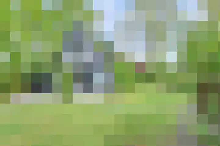 De Achthoek 26 Scharendijke thumbnail 29