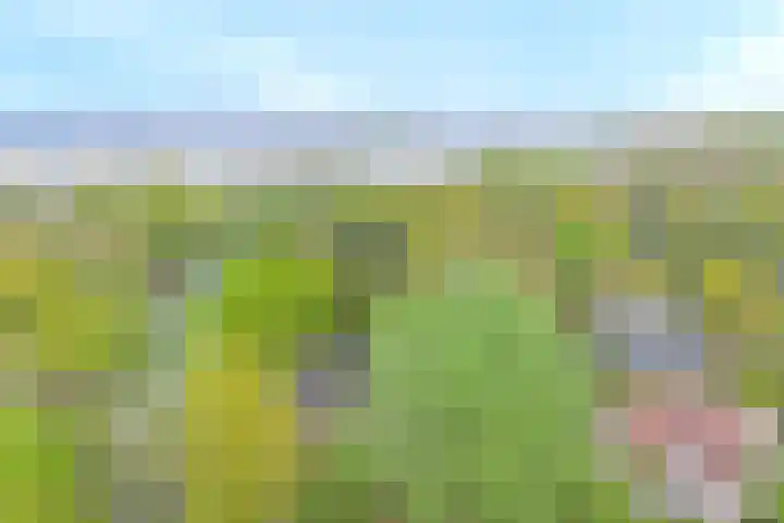 De Achthoek 26 Scharendijke thumbnail 4