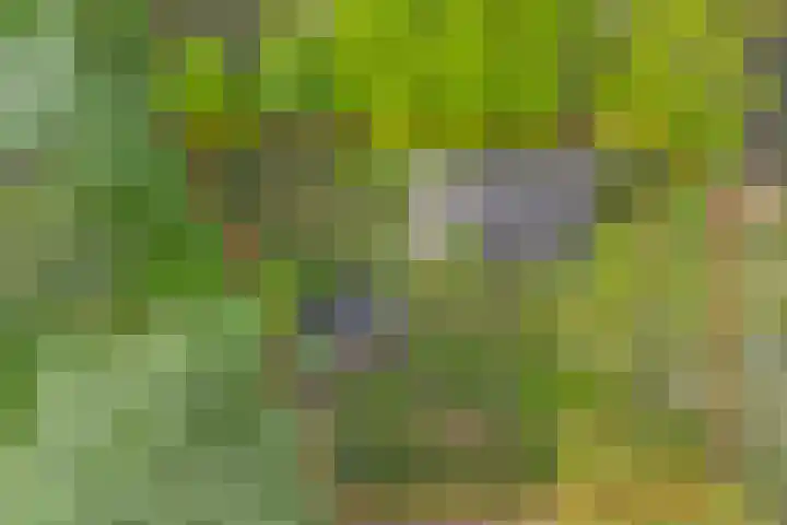 De Achthoek 26 Scharendijke thumbnail 6
