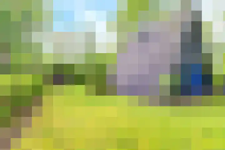 De Achthoek 26 Scharendijke thumbnail 7