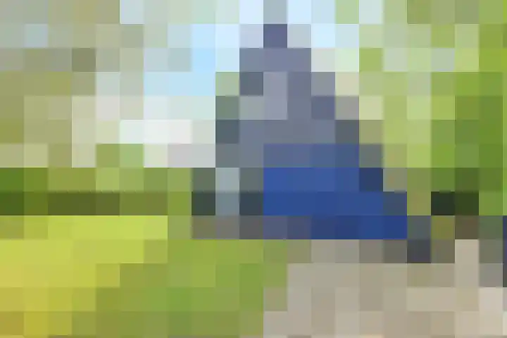 De Achthoek 26 Scharendijke thumbnail 8