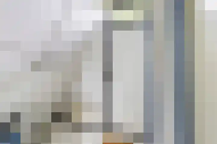De Achthoek 26 Scharendijke thumbnail 9