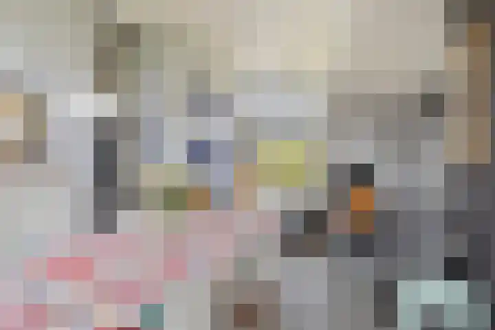 De Achthoek 3 Scharendijke thumbnail 11