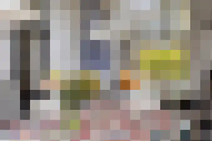 De Achthoek 3 Scharendijke thumbnail 12
