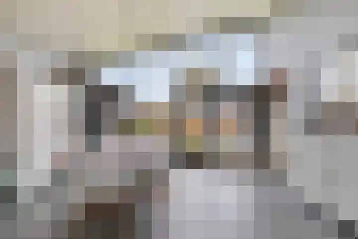 De Achthoek 3 Scharendijke thumbnail 13