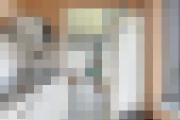 De Achthoek 3 Scharendijke thumbnail 15