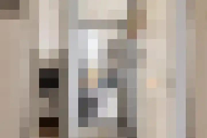 De Achthoek 3 Scharendijke thumbnail 18