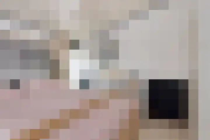 De Achthoek 3 Scharendijke thumbnail 19