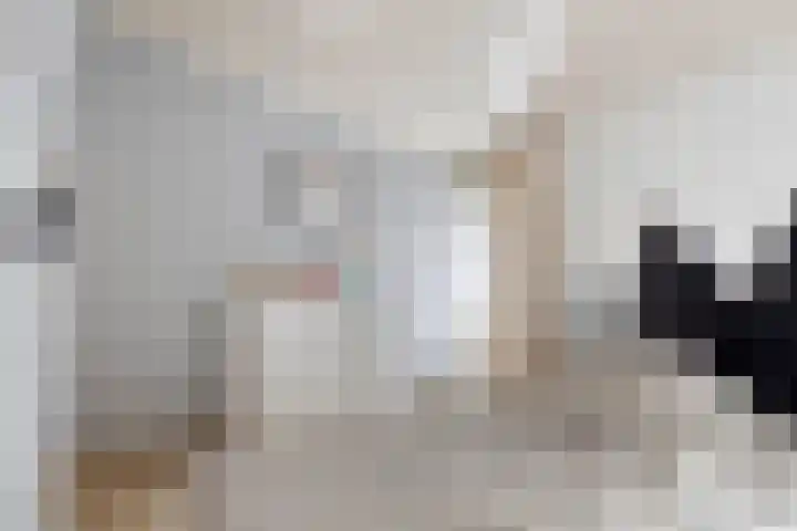 De Achthoek 3 Scharendijke thumbnail 22