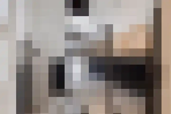 De Achthoek 3 Scharendijke thumbnail 23