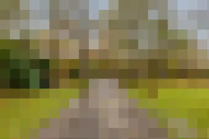 De Achthoek 3 Scharendijke thumbnail 27