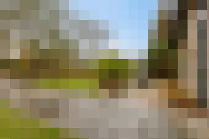 De Achthoek 3 Scharendijke thumbnail 28