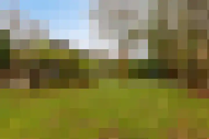 De Achthoek 3 Scharendijke thumbnail 29