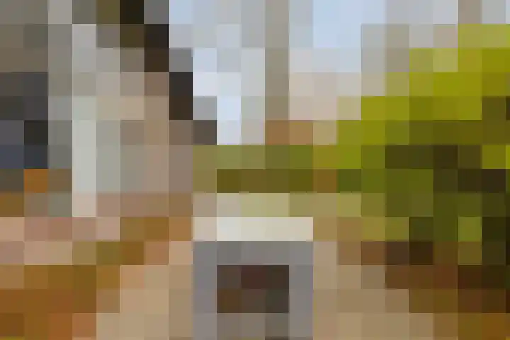 De Achthoek 3 Scharendijke thumbnail 30