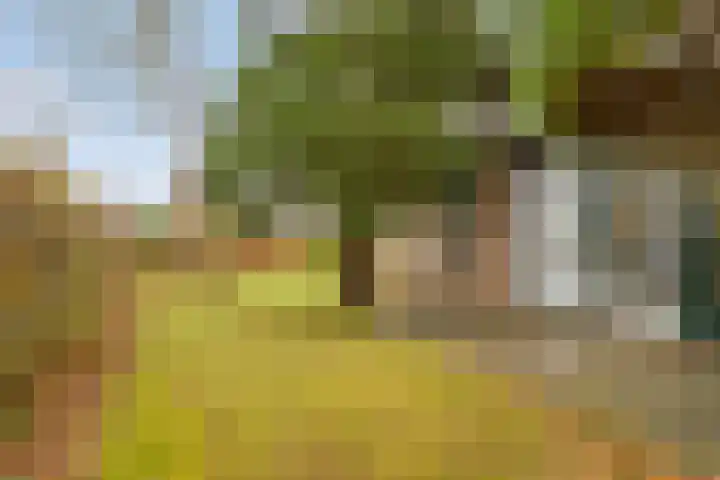 De Achthoek 3 Scharendijke thumbnail 31