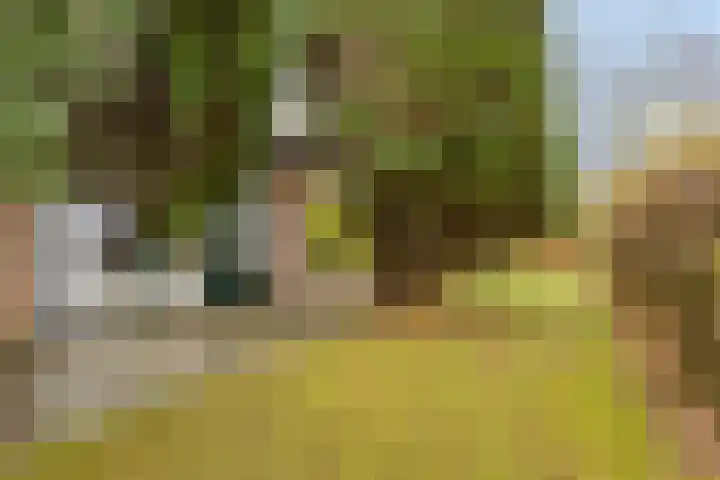 De Achthoek 3 Scharendijke thumbnail 32