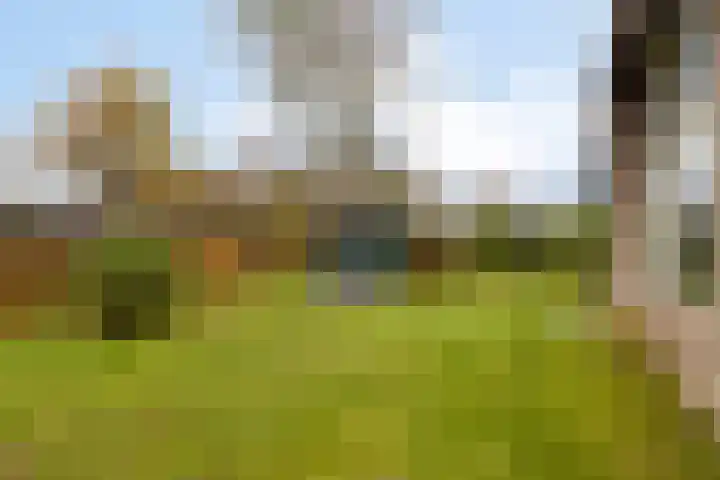 De Achthoek 3 Scharendijke thumbnail 33
