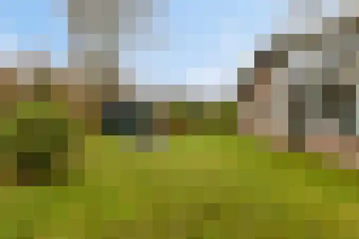 De Achthoek 3 Scharendijke thumbnail 34