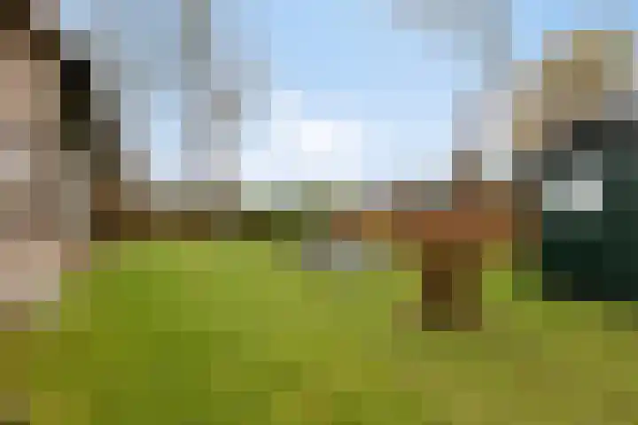 De Achthoek 3 Scharendijke thumbnail 35