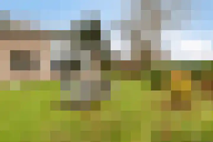De Achthoek 3 Scharendijke thumbnail 36