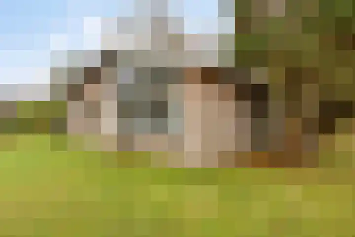 De Achthoek 3 Scharendijke thumbnail 37