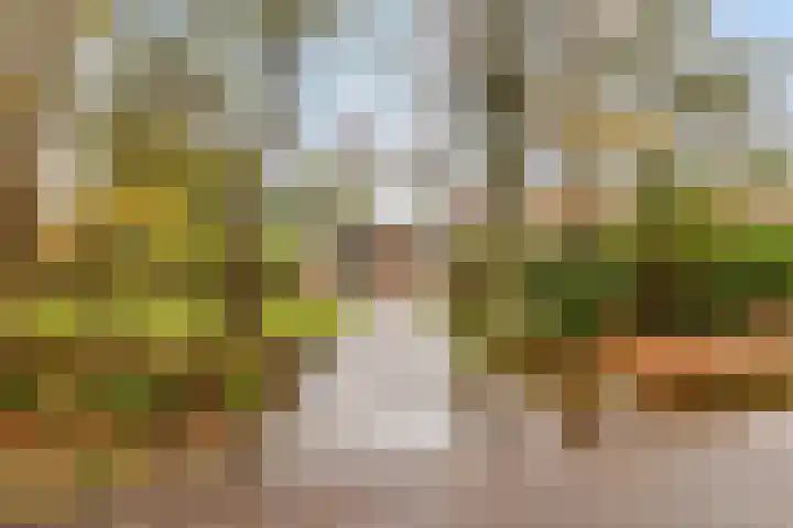 De Achthoek 3 Scharendijke thumbnail 4
