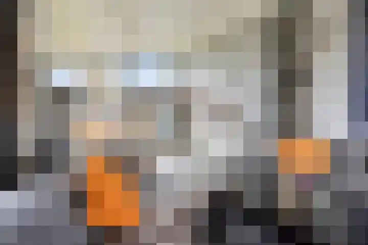 De Achthoek 3 Scharendijke thumbnail 5