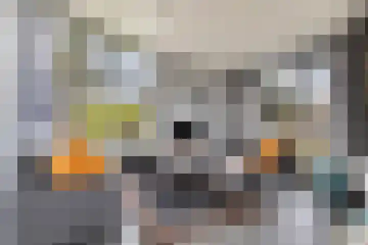 De Achthoek 3 Scharendijke thumbnail 9