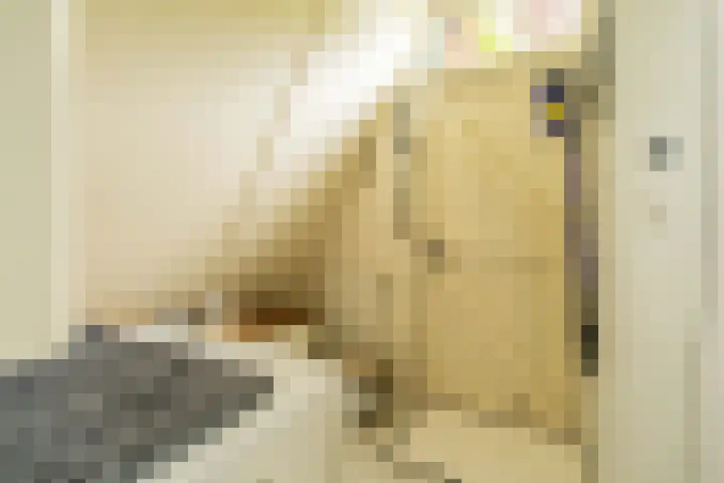 De Achthoek 31 Scharendijke thumbnail 10