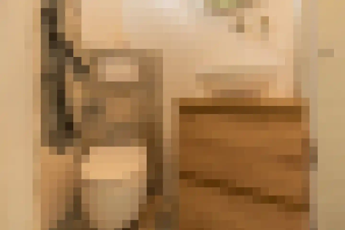 De Achthoek 31 Scharendijke thumbnail 12