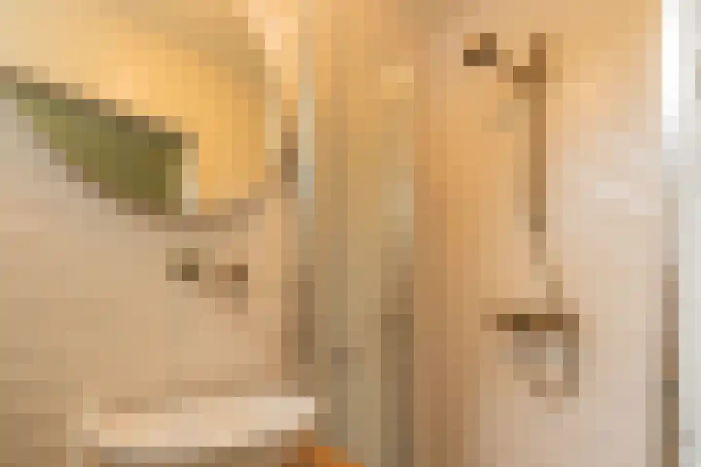 De Achthoek 31 Scharendijke thumbnail 13