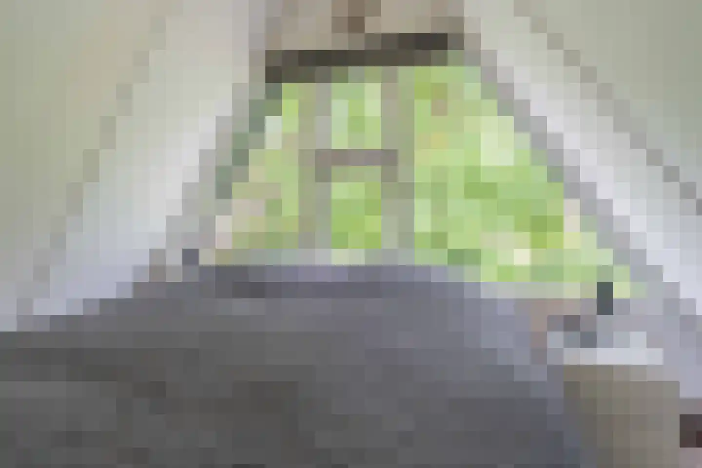 De Achthoek 31 Scharendijke thumbnail 15