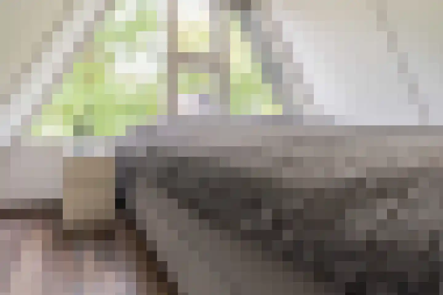 De Achthoek 31 Scharendijke thumbnail 16