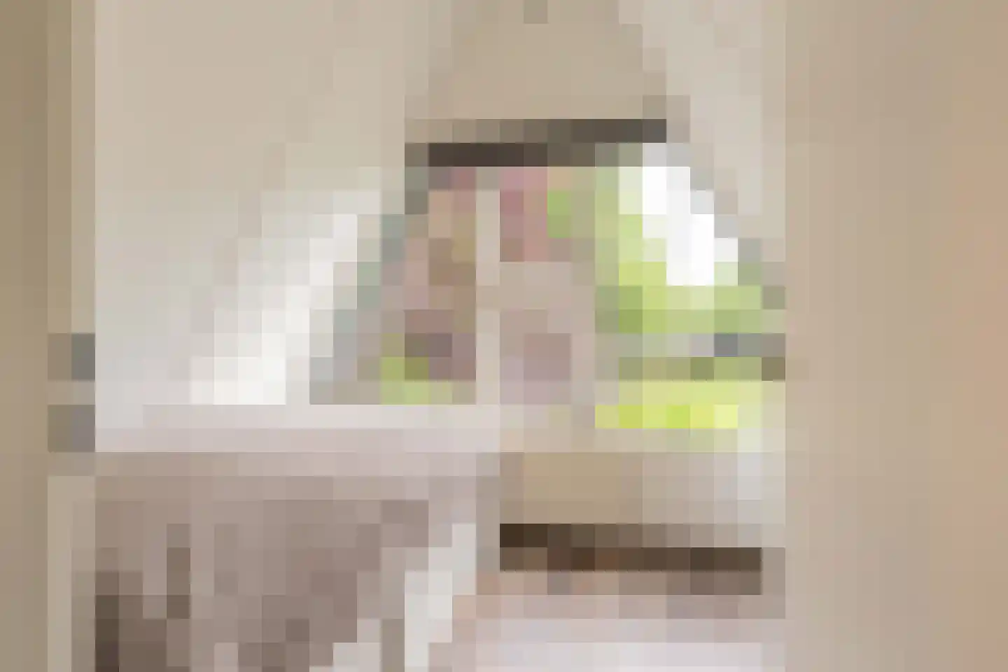 De Achthoek 31 Scharendijke thumbnail 17