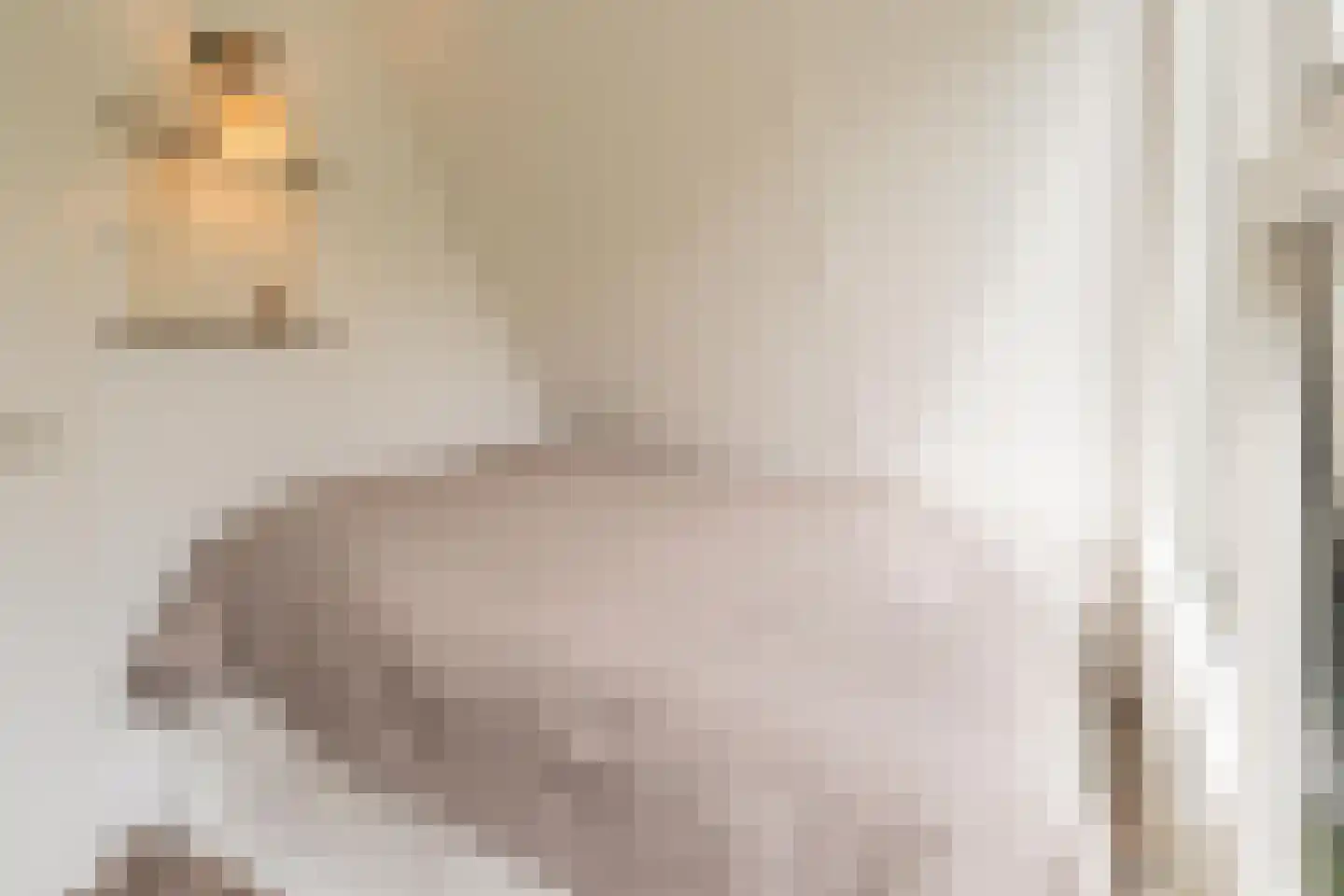 De Achthoek 31 Scharendijke thumbnail 18