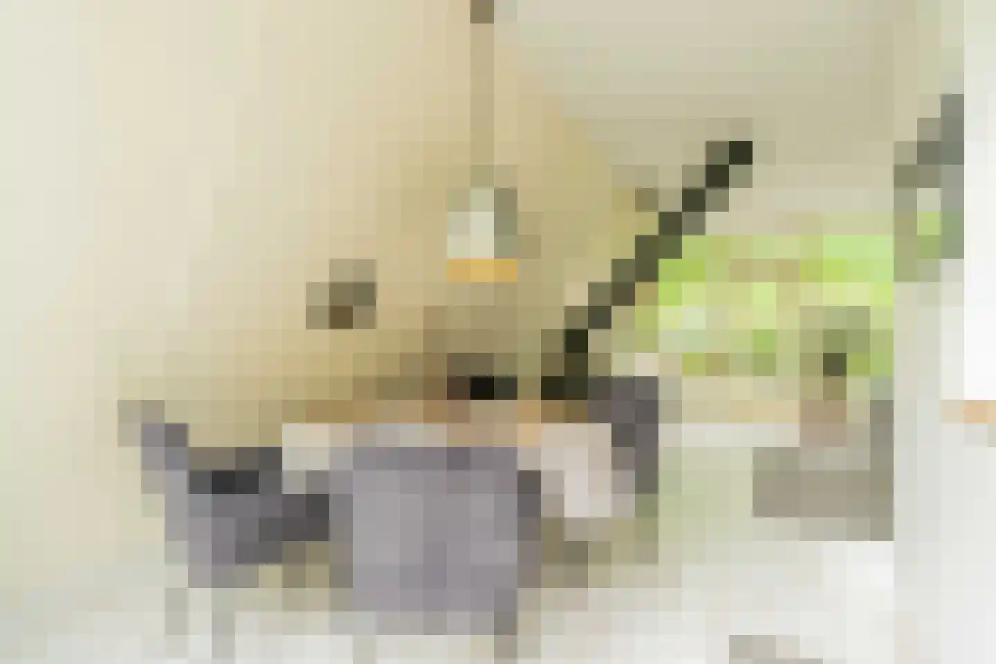 De Achthoek 31 Scharendijke thumbnail 19