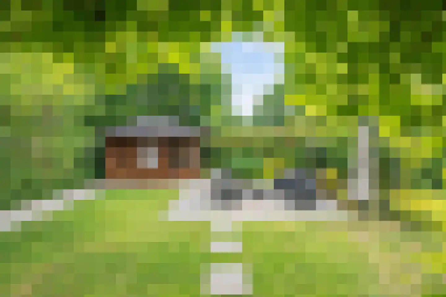 De Achthoek 31 Scharendijke thumbnail 21