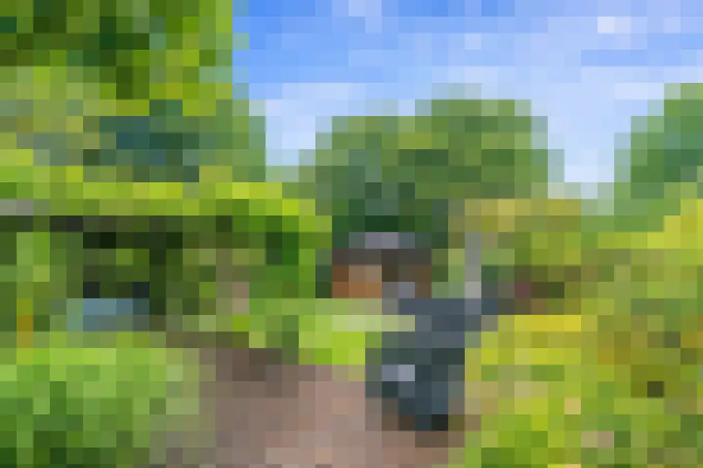 De Achthoek 31 Scharendijke thumbnail 22