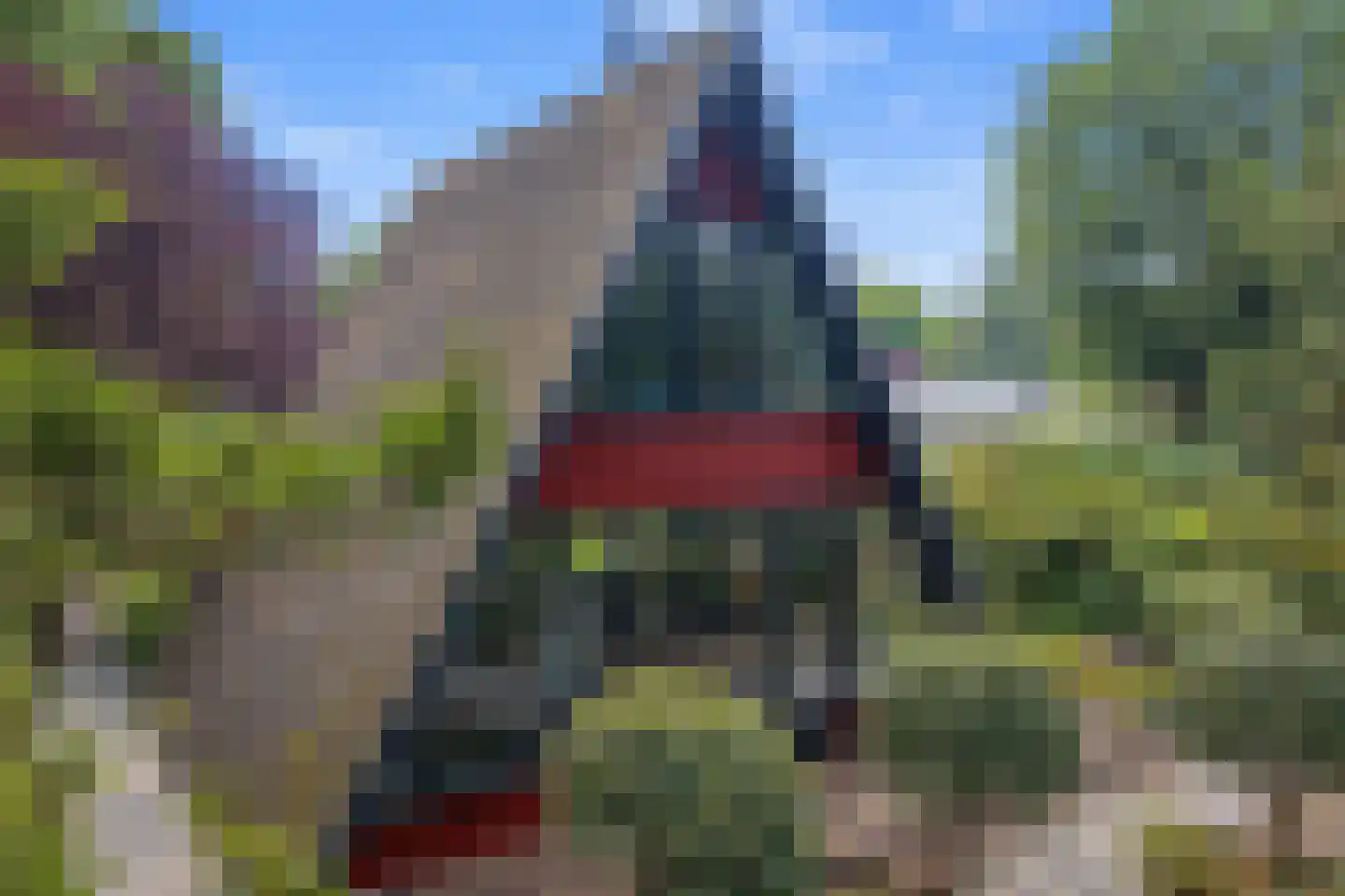 De Achthoek 31 Scharendijke thumbnail 26