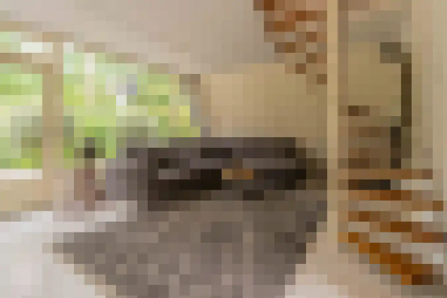 De Achthoek 31 Scharendijke thumbnail 4