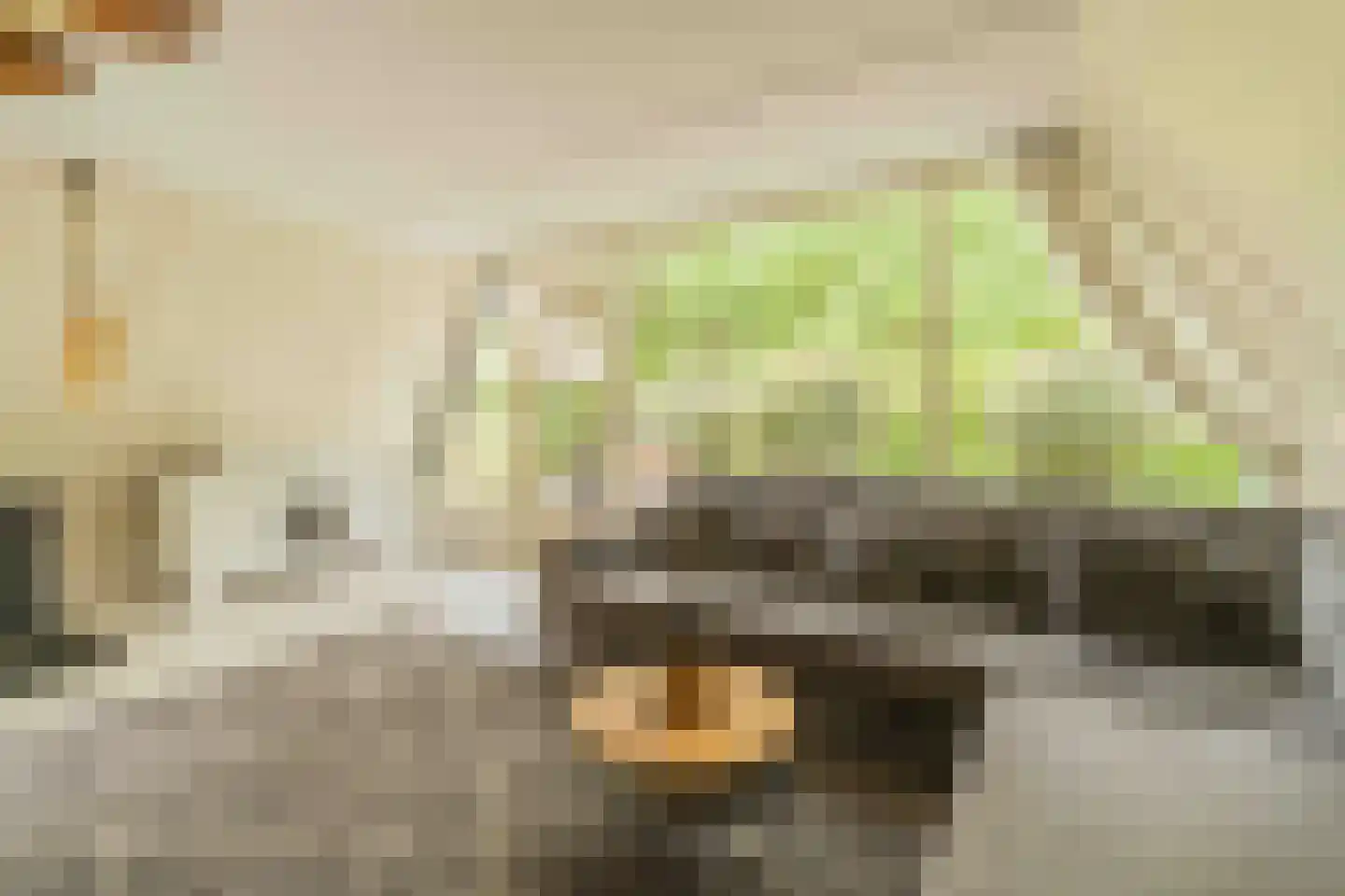 De Achthoek 31 Scharendijke thumbnail 5