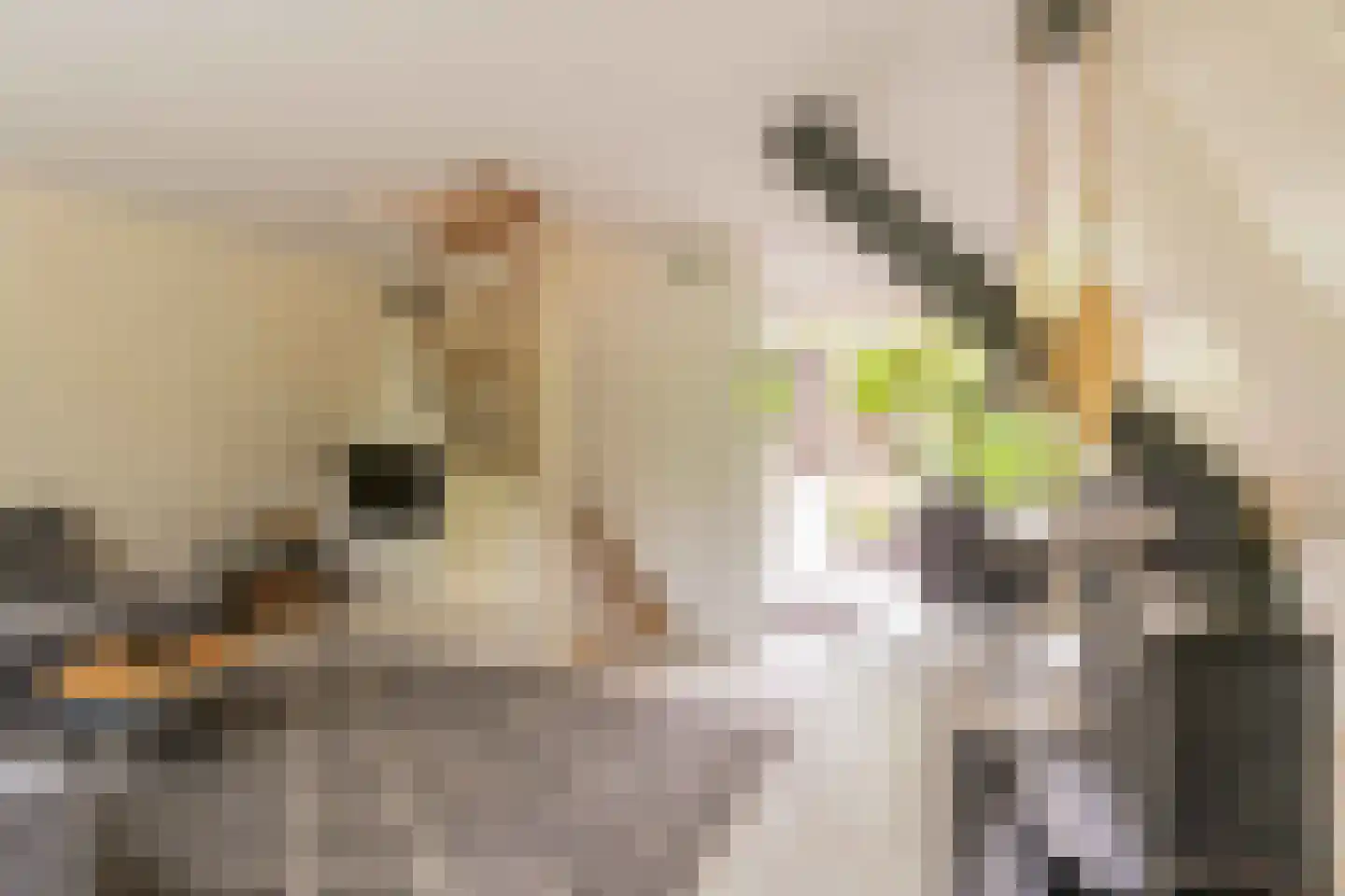 De Achthoek 31 Scharendijke thumbnail 6
