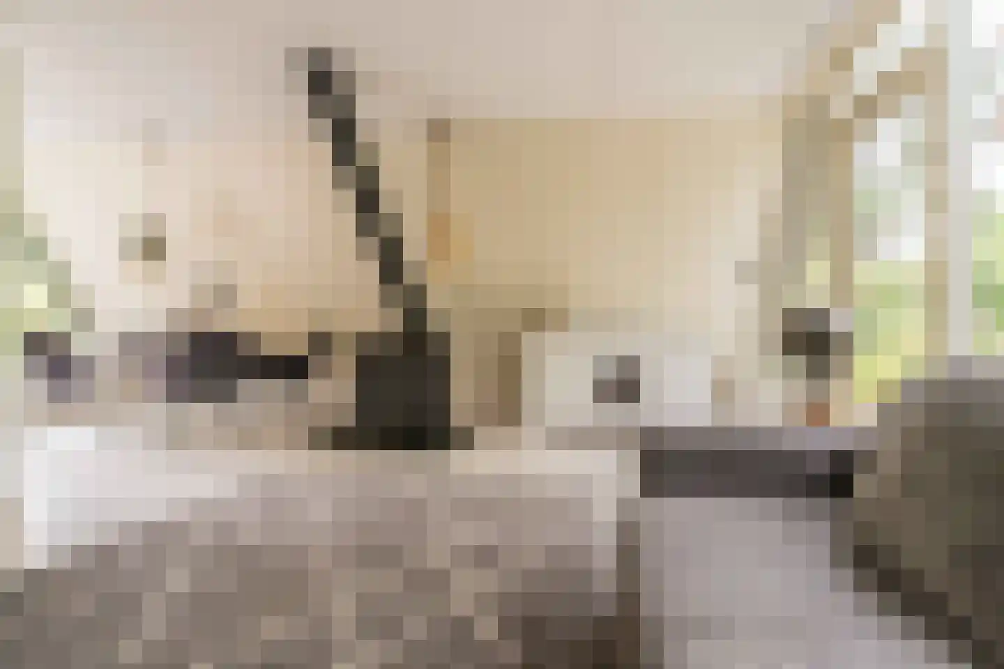 De Achthoek 31 Scharendijke thumbnail 7