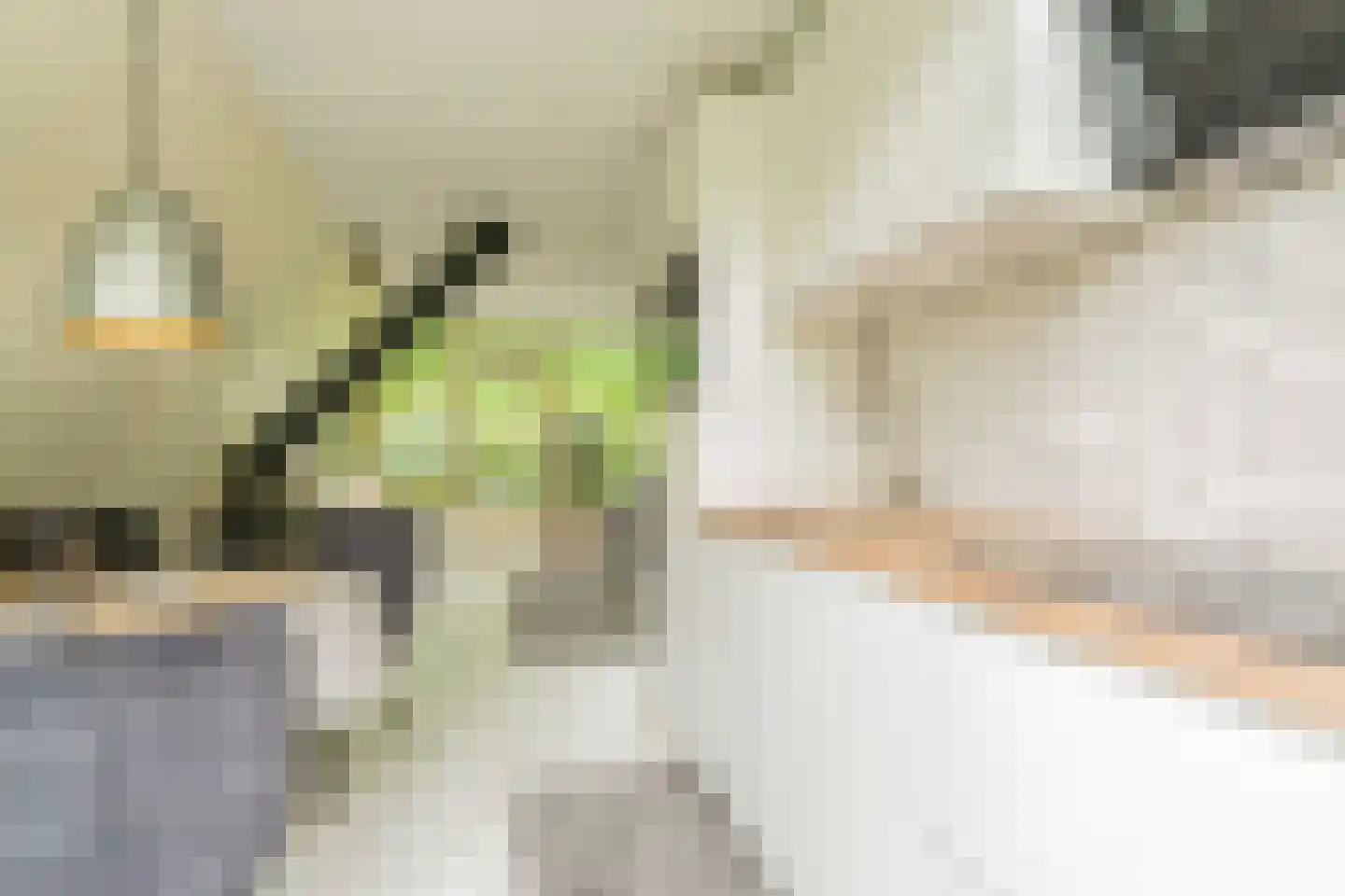De Achthoek 31 Scharendijke thumbnail 8