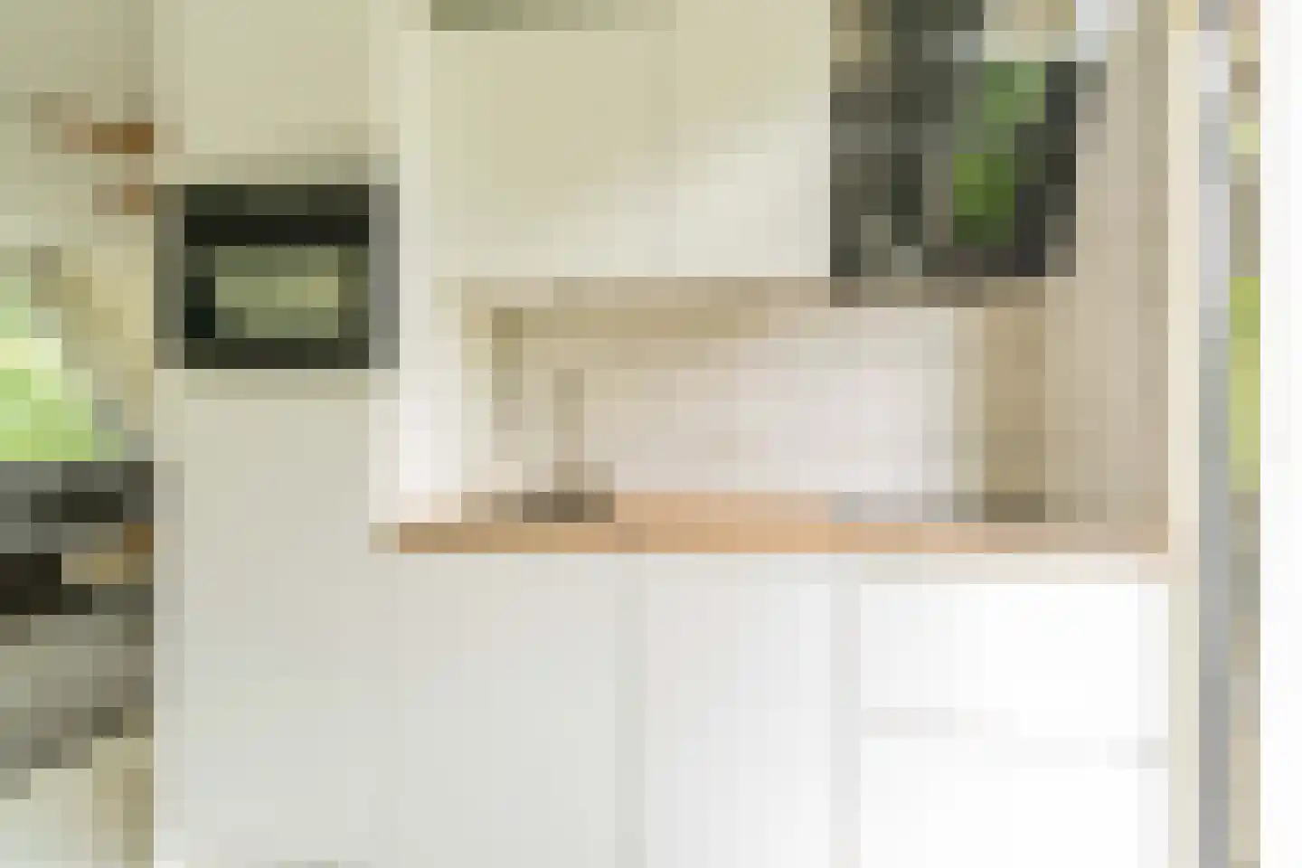 De Achthoek 31 Scharendijke thumbnail 9