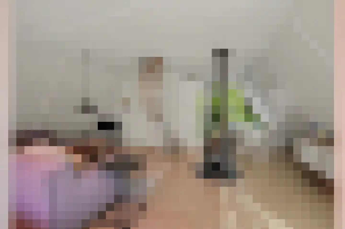 De Achthoek 46 Scharendijke thumbnail 10